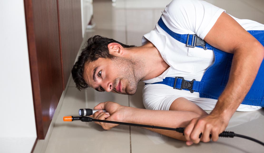 مكافحة القراد