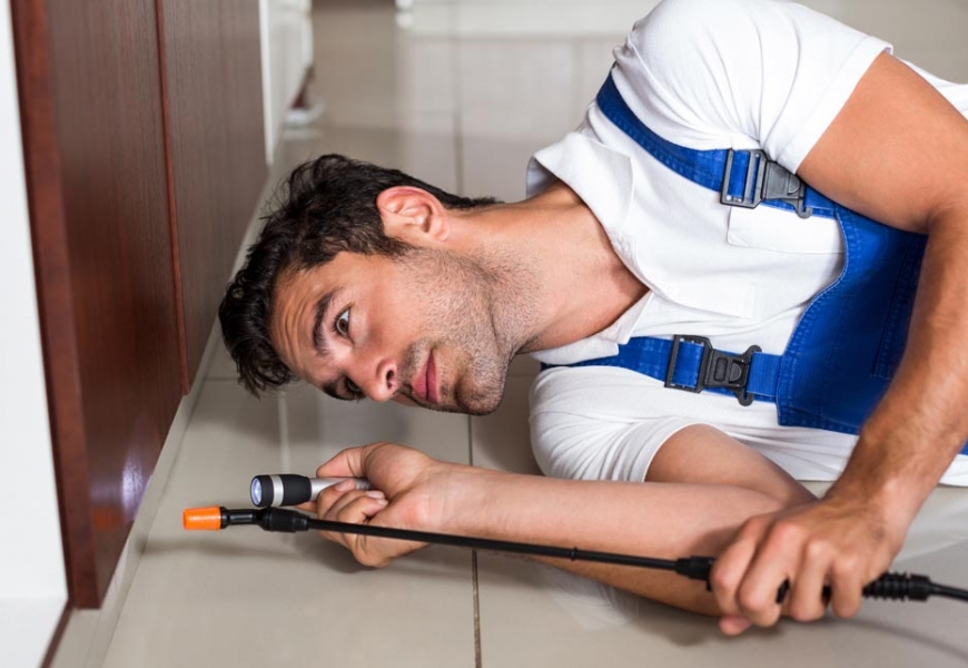 مكافحة القراد